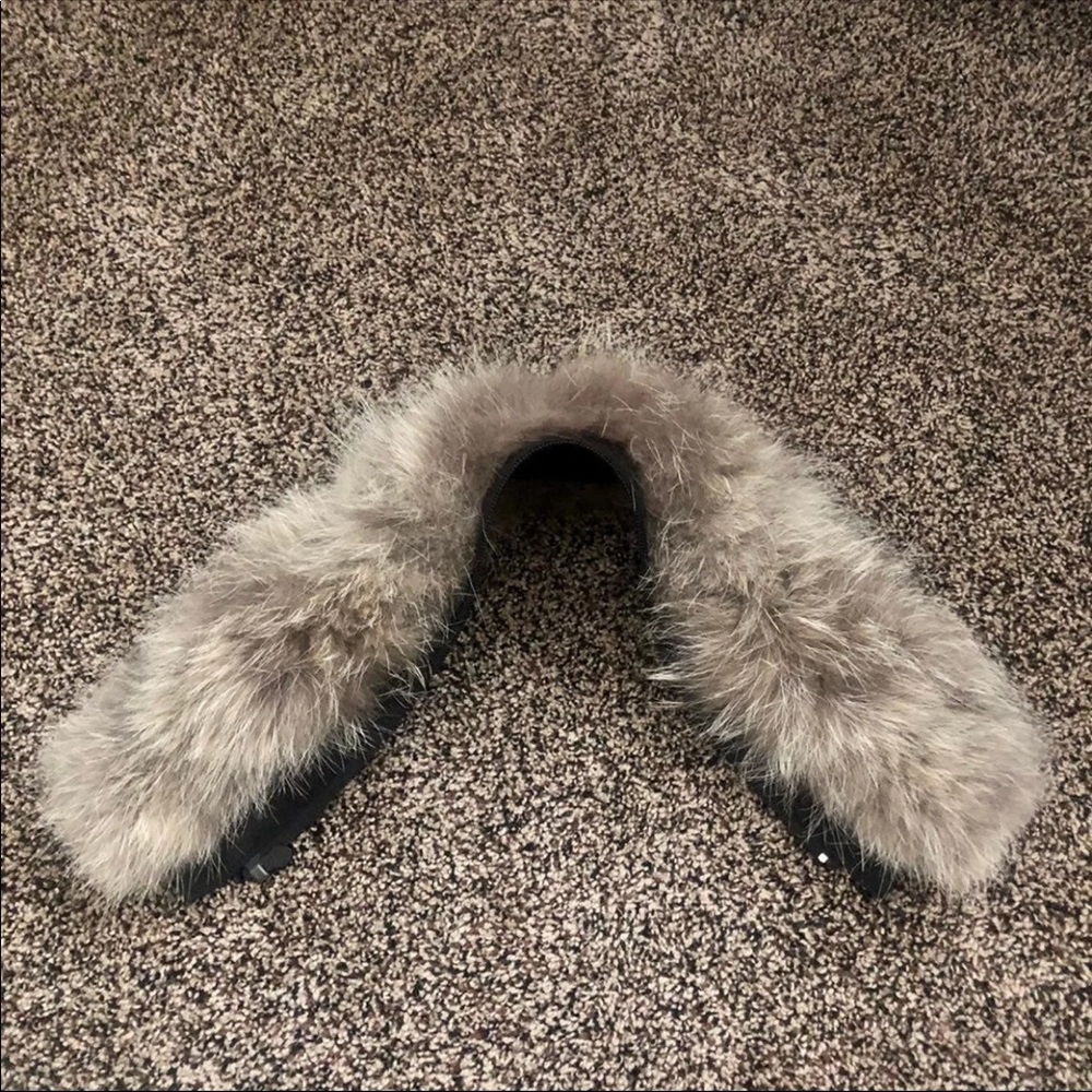 Canada goose fur
